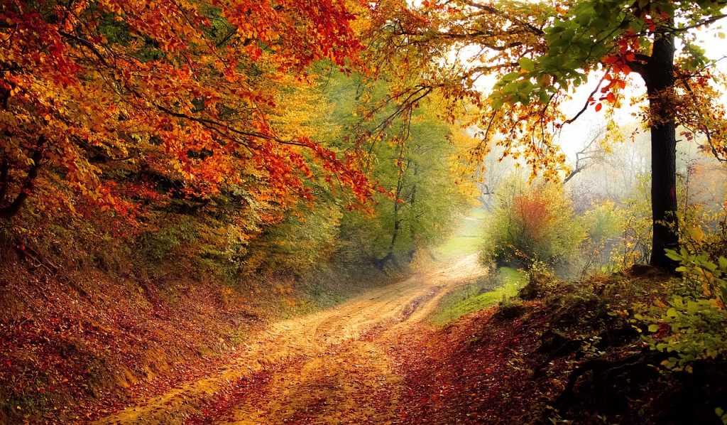 Autumn in Warsaw