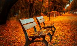 Autumn in the city – top attractions in Warsaw
