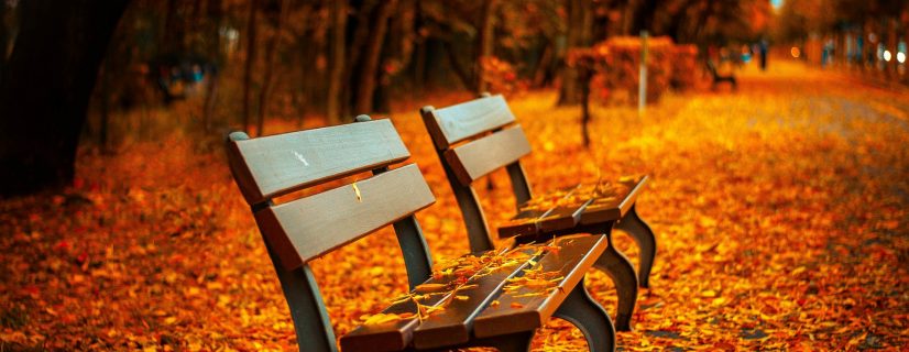 autumn in the capital
